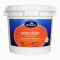 BioGuard Smart Shock 25 lb Pool Treatment – Multi-Purpose Shock, Oxidizer & Algae Killer